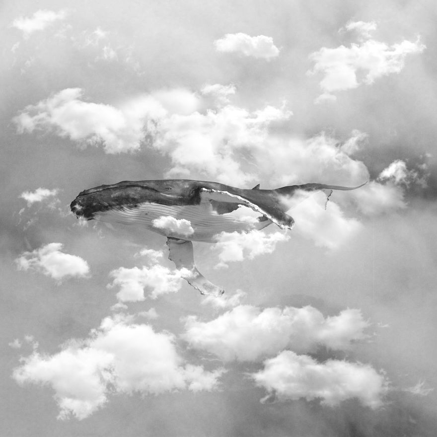 I See The World In A Minimalist Way