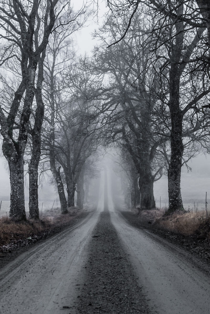 I Kept Chasing Fog In The Swedish Nature. 13 Images. I Kept Chasing Fog In The Swedish Nature. 13 Images.