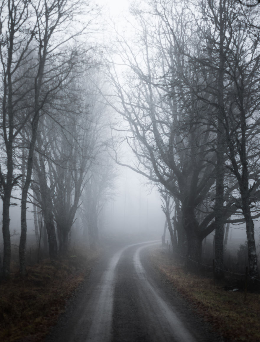 I Kept Chasing Fog In The Swedish Nature. 13 Images.