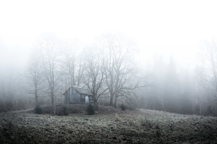 I Kept Chasing Fog In The Swedish Nature. 13 Images.