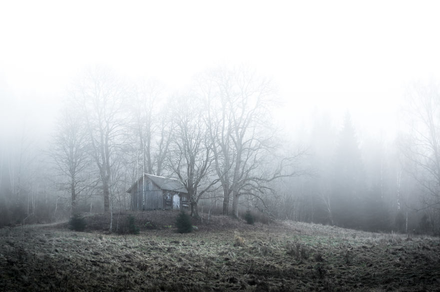 I Kept Chasing Fog In The Swedish Nature. 13 Images.