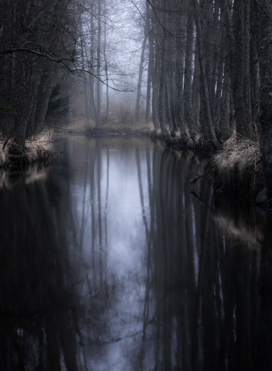 I Kept Chasing Fog In The Swedish Nature. 13 Images. I Kept Chasing Fog In The Swedish Nature. 13 Images.