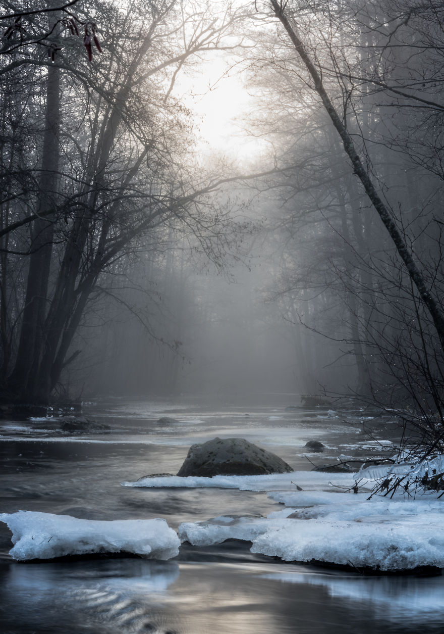 I Kept Chasing Fog In The Swedish Nature. 13 Images.