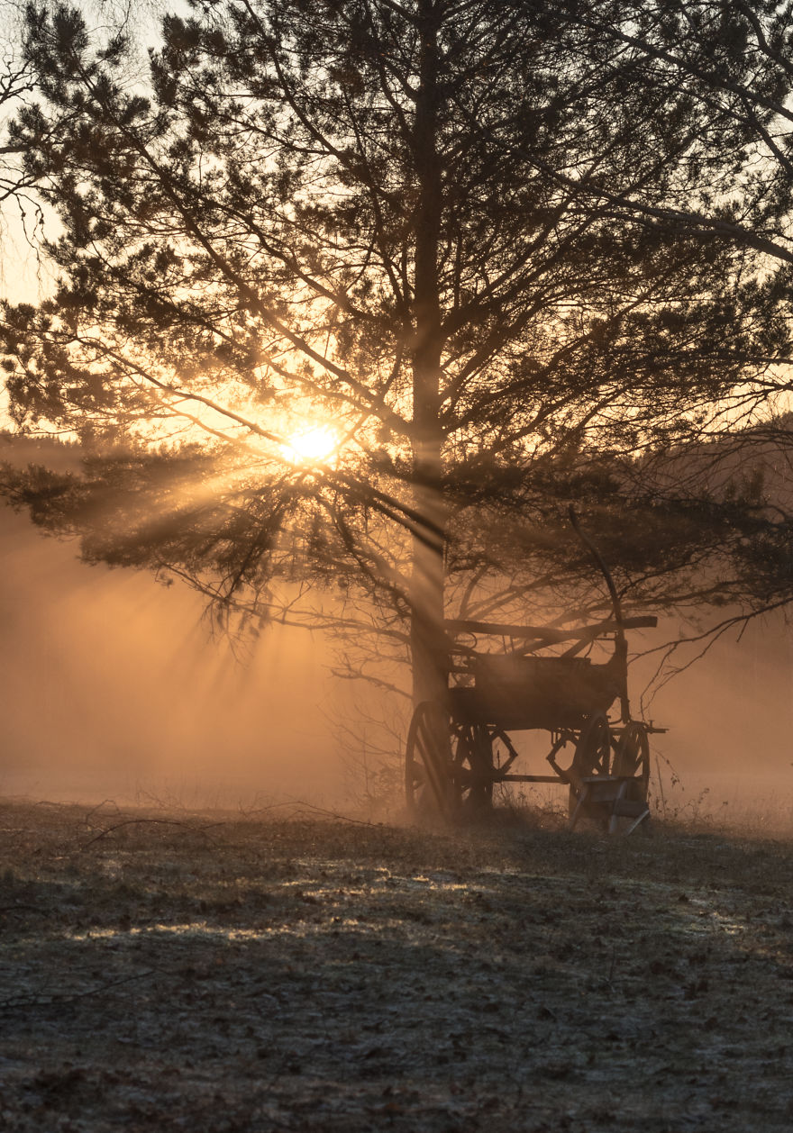 I Kept Chasing Fog In The Swedish Nature. 13 Images.
