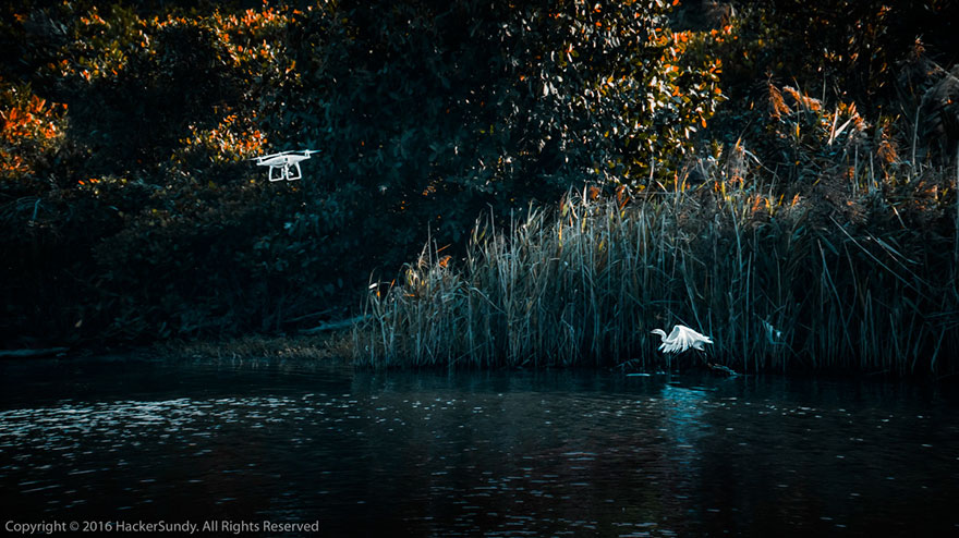 Meet The Phantom, Second Prize In Professional Drones In Use Category