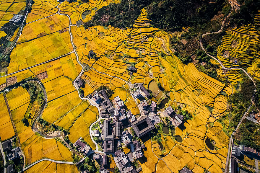 And They Were All Yellow, Honorable Mention