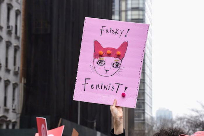 Women's March Signs