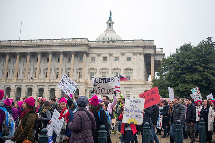 Women's March Signs