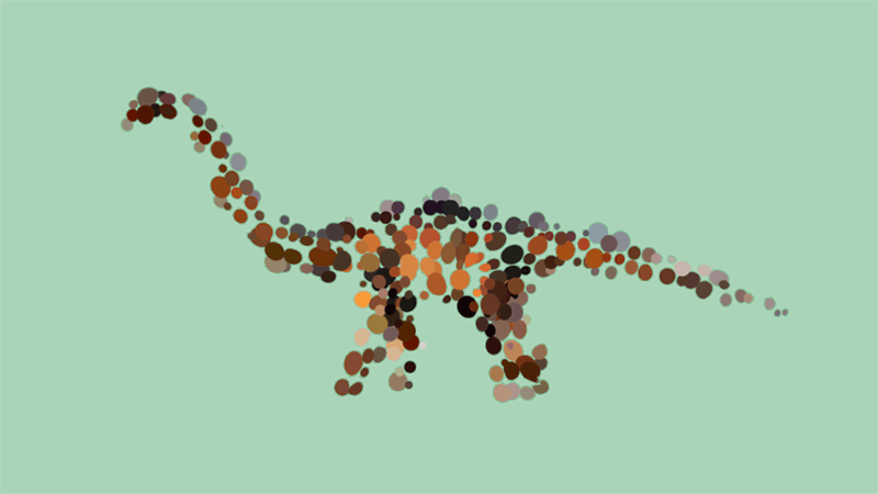 My Gifs Of Animals Emerging From Abstraction My Gifs Of Animals Emerging From Abstraction