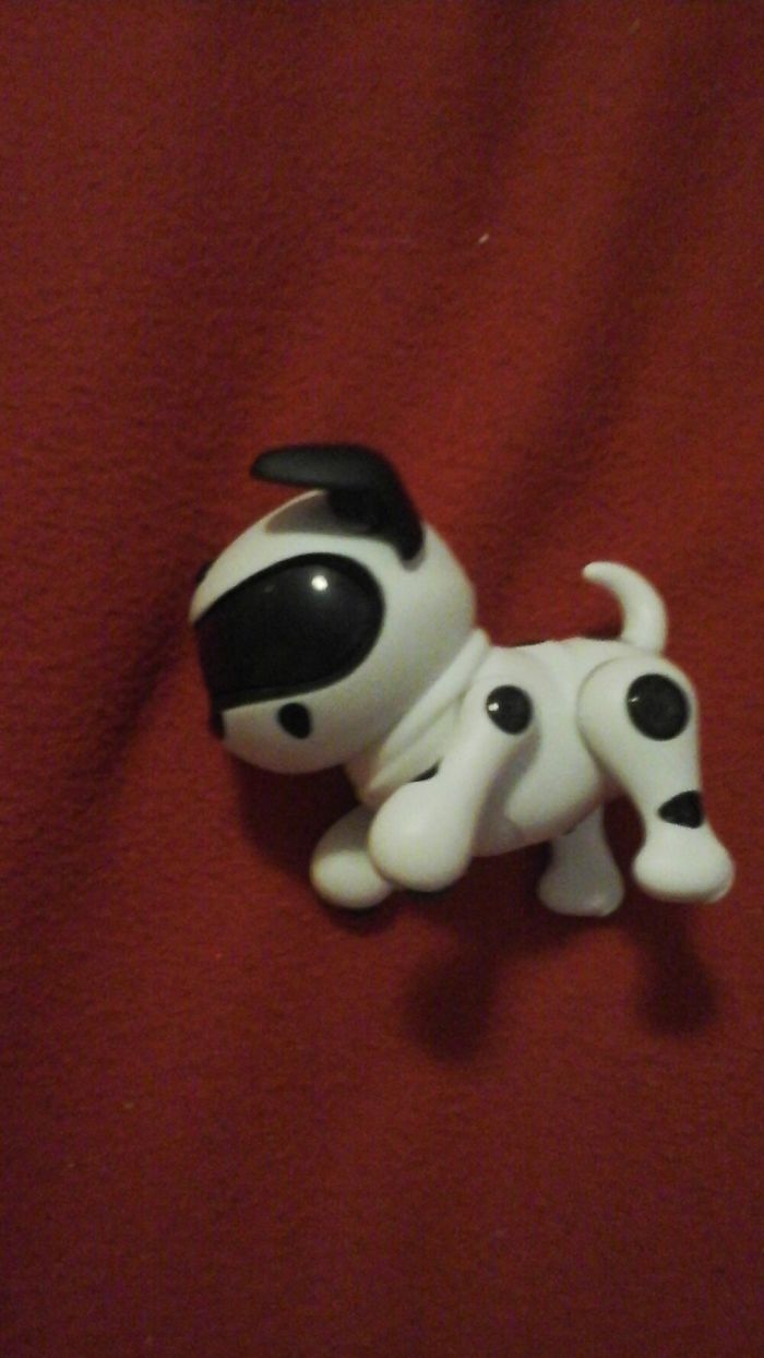 I Wanted A Puppy For Christmas My Sister Got Me This