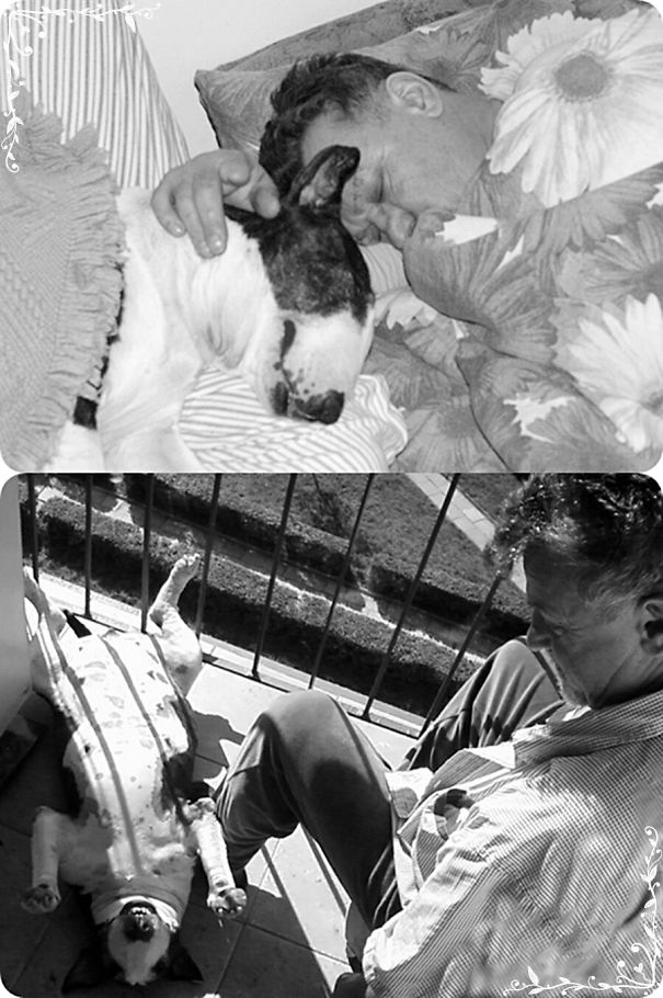 To The Memory Of My Beloved Father And His Bullterrier Which He Didn't Want...