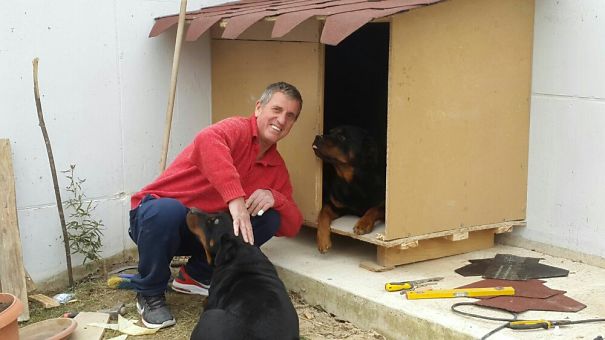 He Was Furious When We Got Our 1st Rottweiler. Here Is Now, Building A New House For The 2nd.