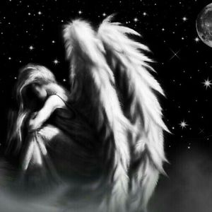 vaishnavisudeep avatar