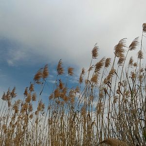 kelly_d_switzer avatar