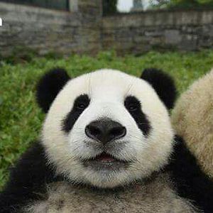 anita-thakrar avatar