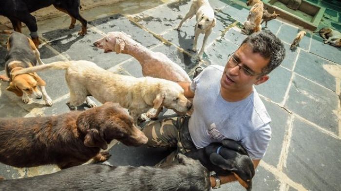 Software Engineer Spends His Spare Time Looking After 735 Abandoned Dogs Software Engineer Spends His Spare Time Looking After 735 Abandoned Dogs