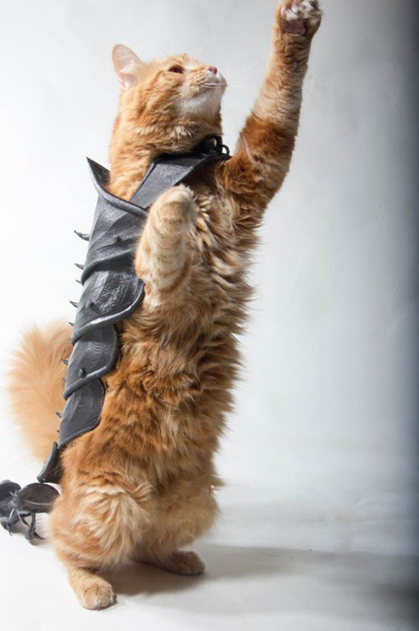 cat-armor-3d-print-that-thing-10 cat-armor-3d-print-that-thing-10