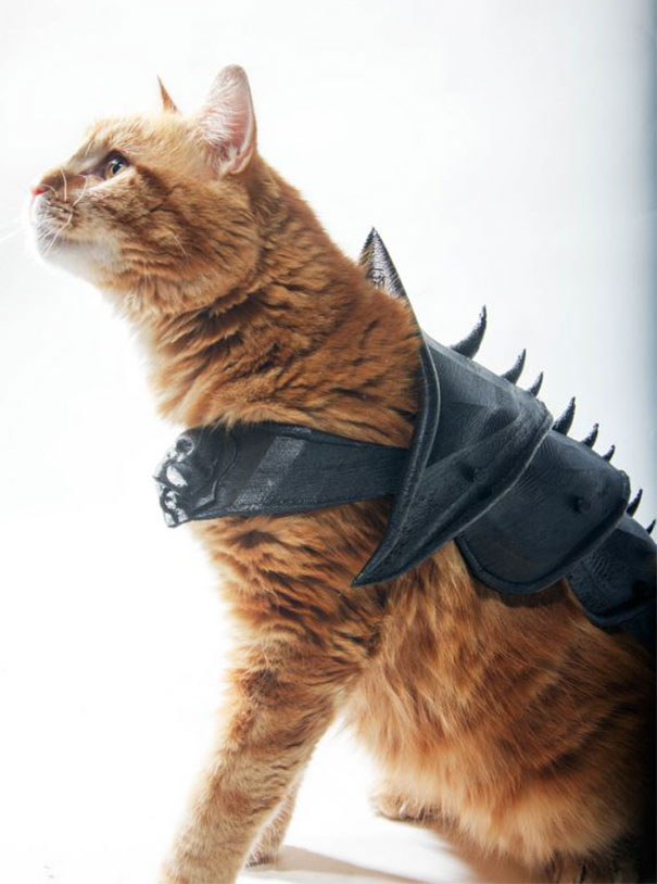 cat-armor-3d-print-that-thing-11 cat-armor-3d-print-that-thing-11