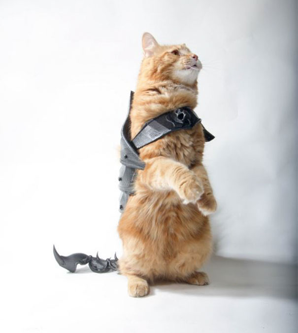 cat-armor-3d-print-that-thing-7 cat-armor-3d-print-that-thing-7