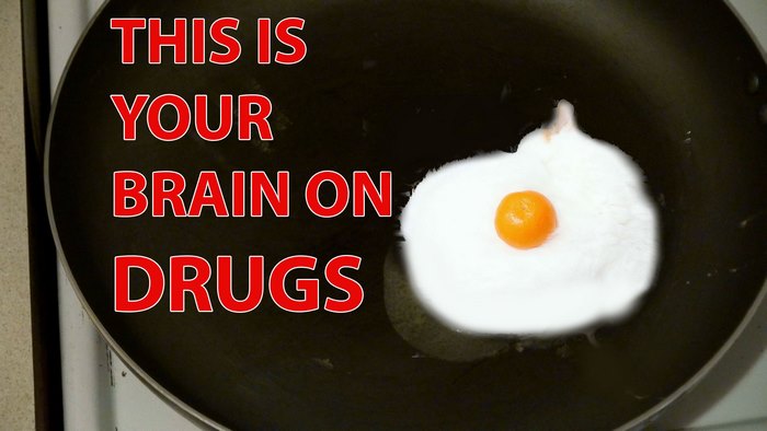 Cat Egg: Brain On Drugs