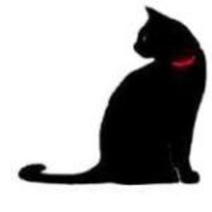 dorota-kropki avatar