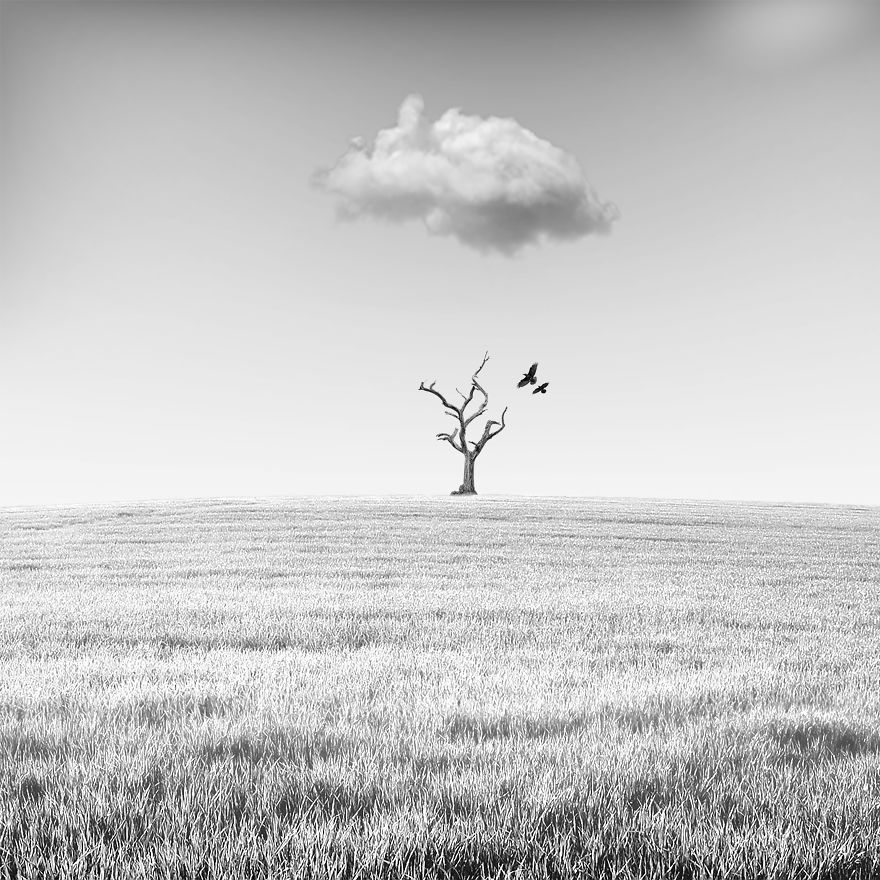 I See The World In A Minimalist Way