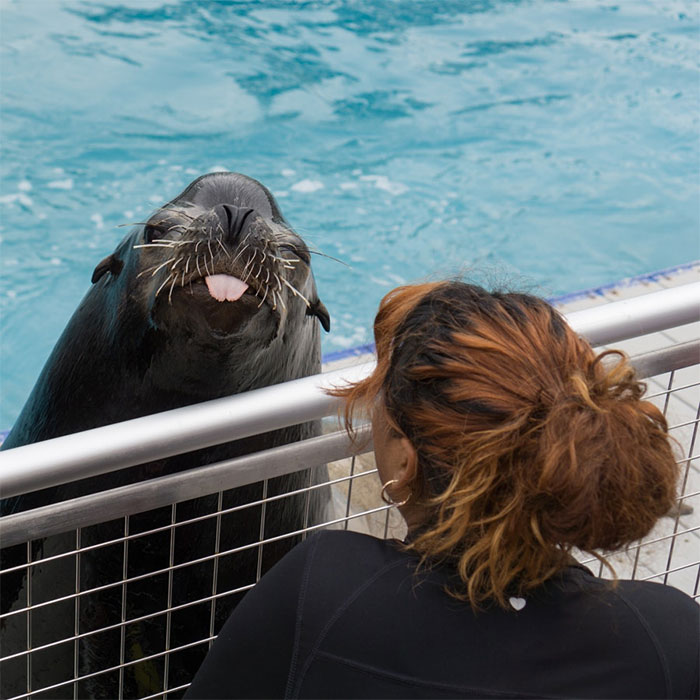 Cute Animal With It's Tongue Sticking Out