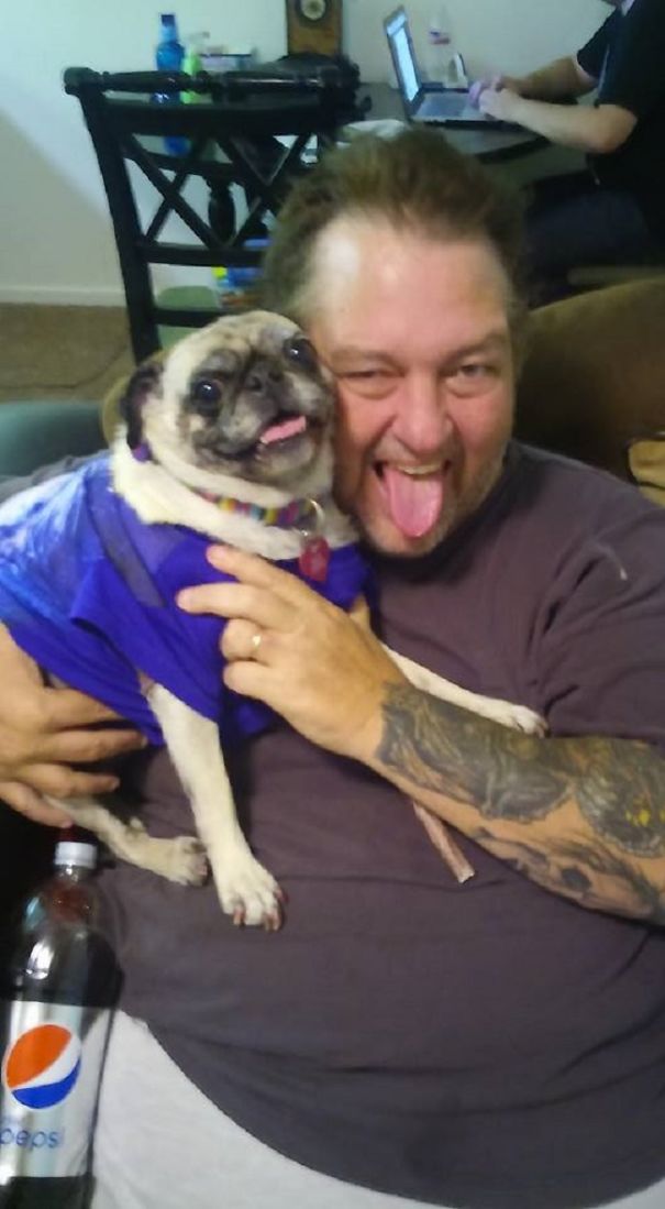 "pugs Are Ugly...i Don't Want One!" Sure, Dad, Sure...