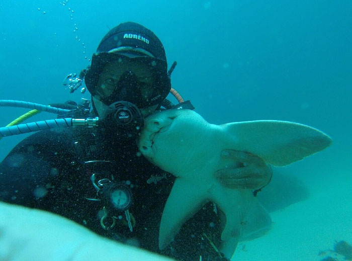 diver-cuddles-shark-rick-anderson-australia-3 diver-cuddles-shark-rick-anderson-australia-3