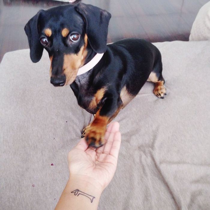 Dachshund giving a paw to a person with a minimalistic dog tattoo on their wrist.