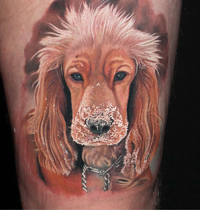 Realistic dog tattoo featuring a detailed portrait of a cocker spaniel with snowy fur highlights.
