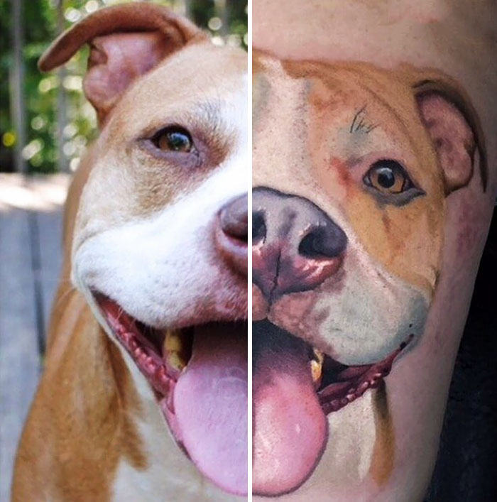Realistic dog tattoo paired with original dog's photo, showcasing detailed artistry and vibrant colors.