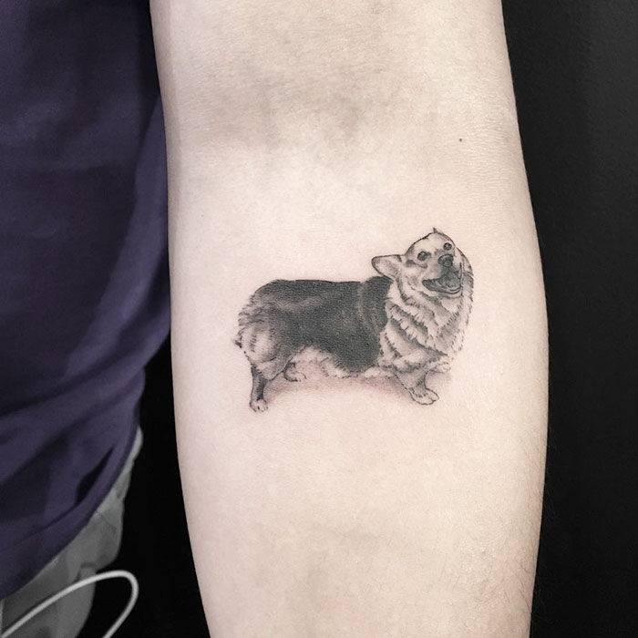 Dog tattoo on forearm, featuring a detailed Corgi design.