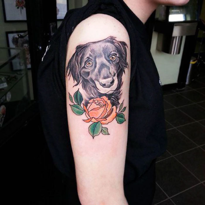 Dog tattoo featuring a realistic dog portrait with a vibrant orange rose on the arm.