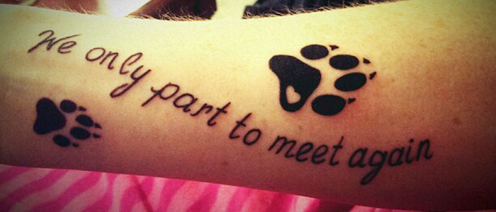 Dog tattoo featuring paw prints and the phrase "We only part to meet again" on forearm.