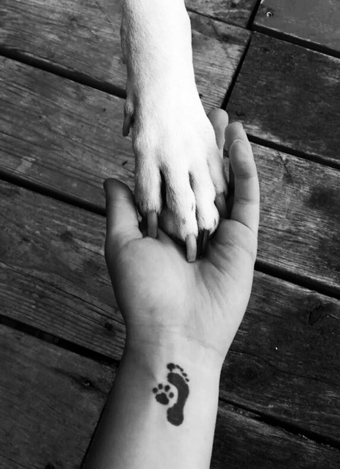A hand with a dog paw tattoo holding a paw, symbolizing the bond between humans and dogs.