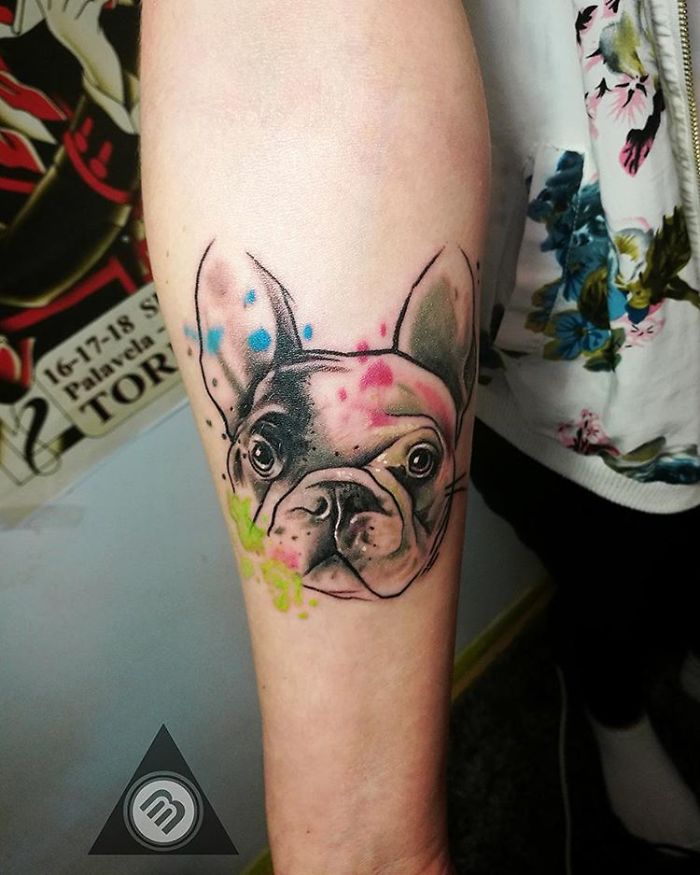 Dog tattoo on forearm with colorful ink splashes, featuring a detailed French bulldog design.