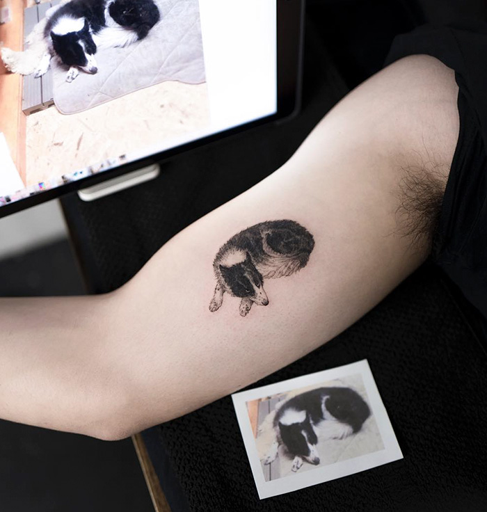 Dog tattoo design on arm, inspired by a black and white dog photo displayed on a tablet.