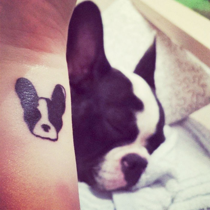 Dog tattoo on wrist resembling a sleeping Boston Terrier.