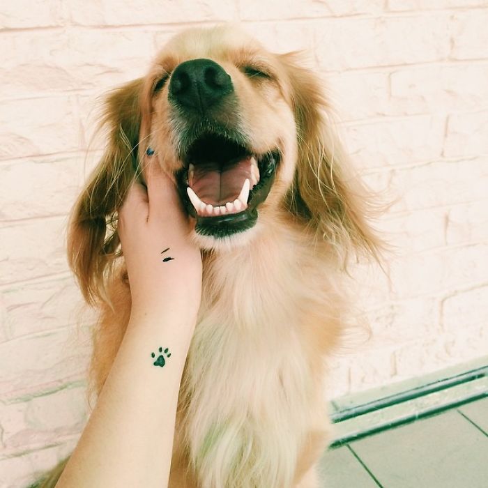 Smiling dog being petted by a person with a paw tattoo on their wrist.