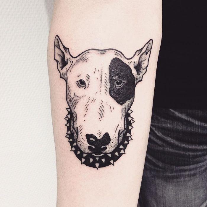Dog tattoo featuring a Bull Terrier with a black patch on its eye and a spiked collar on an arm.