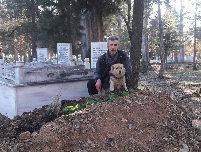 dog-visits-owner-grave-every-day-cesur-4 dog-visits-owner-grave-every-day-cesur-4