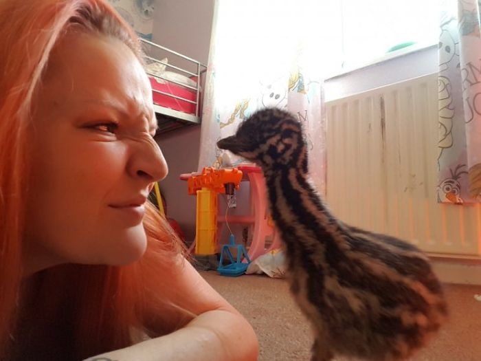 This Woman Bought An Egg On eBay For $30, Now She Has An Exotic Bird This Woman Bought An Egg On eBay For $30, Now She Has An Exotic Bird