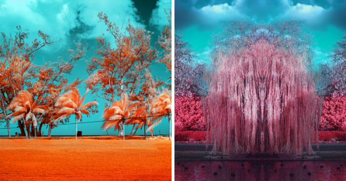 I See The World In Infrared
