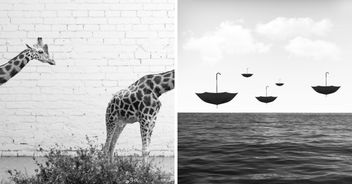 I See The World In A Minimalist Way