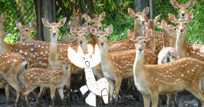 I Photoshop Kids’ Drawings Into Real Life