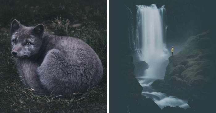 We Packed Our Bags To Visit Iceland And It Turned Out To Be Unbelievable 18-Month Adventure