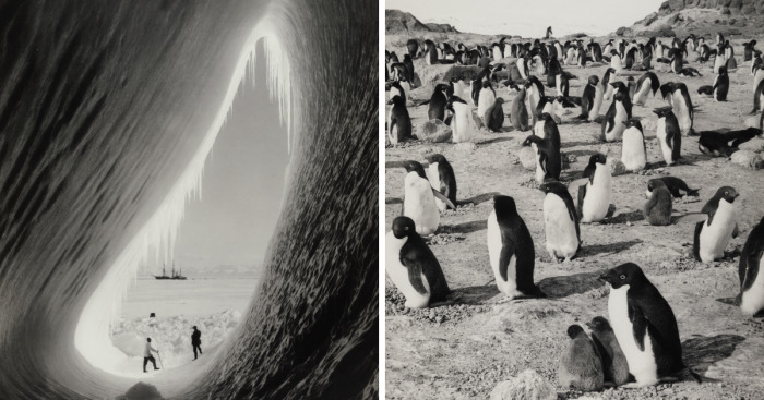 Fatal 1912 Scott’s Expedition To The South Pole Documented By Henry Robertson Bowers