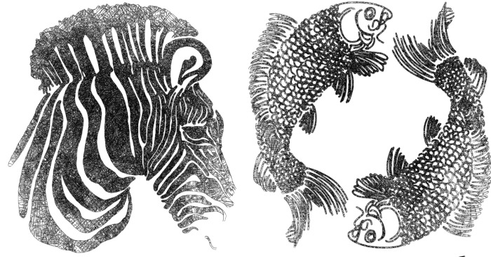 I Create Intricate Animal Drawings