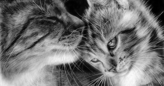 I Paint Animal Portraits Using A Rare Technique, Oil On Paper